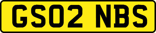GS02NBS