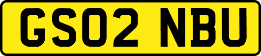 GS02NBU