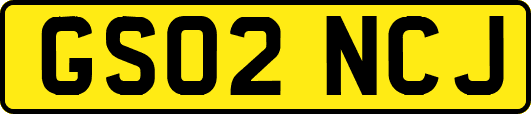 GS02NCJ