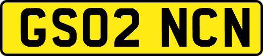 GS02NCN