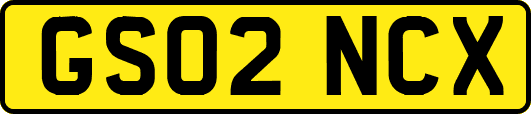 GS02NCX