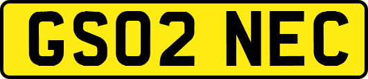 GS02NEC