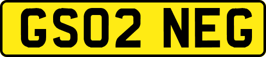 GS02NEG