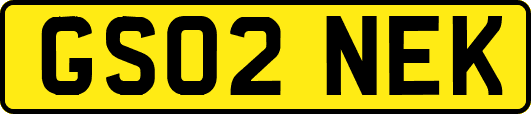 GS02NEK