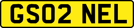 GS02NEL