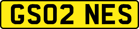 GS02NES