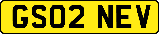 GS02NEV