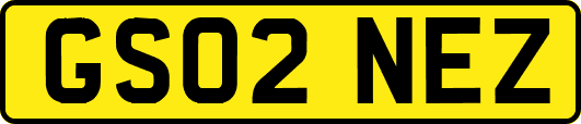 GS02NEZ
