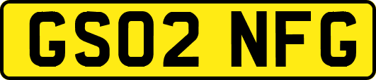 GS02NFG