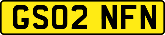 GS02NFN
