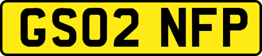 GS02NFP