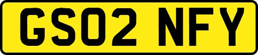 GS02NFY