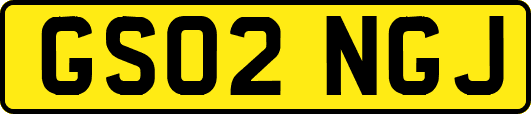 GS02NGJ