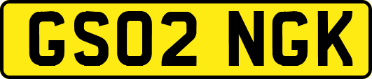 GS02NGK
