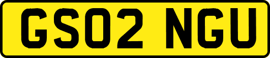 GS02NGU