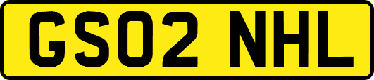 GS02NHL