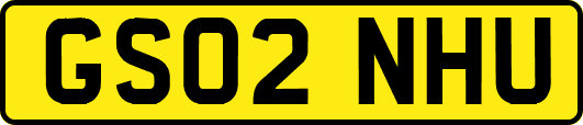 GS02NHU