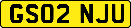 GS02NJU