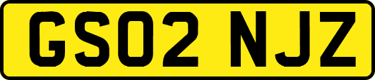 GS02NJZ