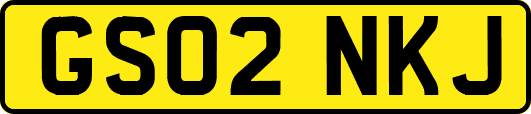 GS02NKJ