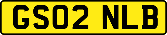 GS02NLB