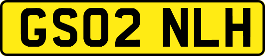 GS02NLH
