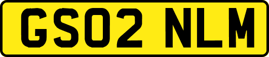 GS02NLM