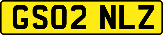 GS02NLZ