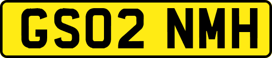 GS02NMH