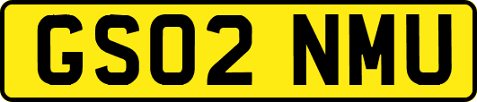 GS02NMU