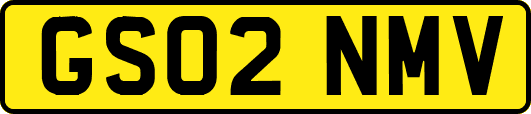GS02NMV