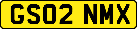 GS02NMX