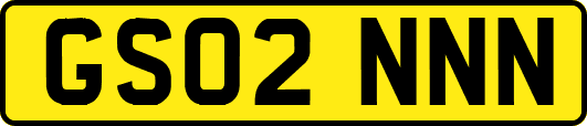 GS02NNN