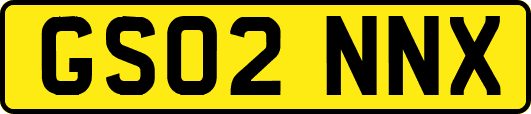 GS02NNX