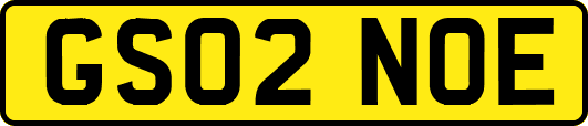 GS02NOE