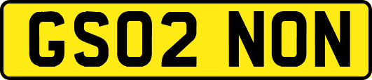 GS02NON