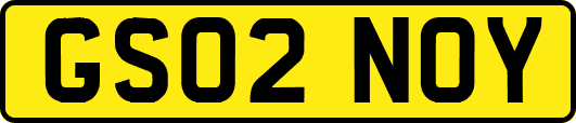 GS02NOY