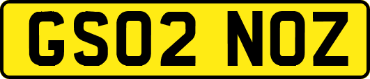 GS02NOZ