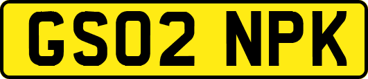 GS02NPK