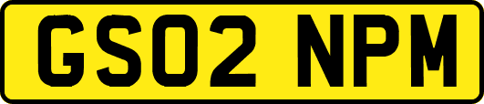 GS02NPM