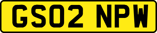 GS02NPW