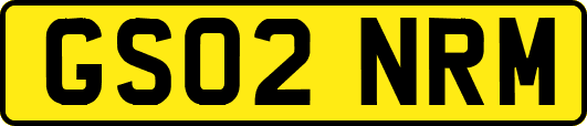 GS02NRM