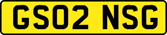 GS02NSG
