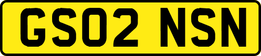 GS02NSN