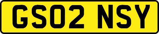 GS02NSY