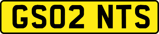 GS02NTS