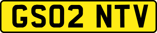 GS02NTV