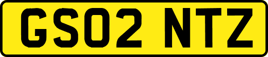 GS02NTZ