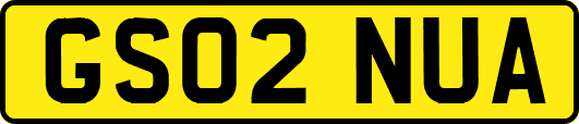 GS02NUA