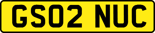GS02NUC